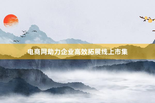 电商网助力企业高效拓展线上市集