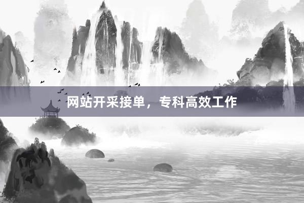 网站开采接单，专科高效工作