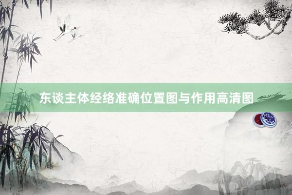 东谈主体经络准确位置图与作用高清图