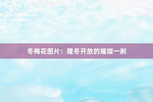 冬梅花图片：隆冬开放的璀璨一刹